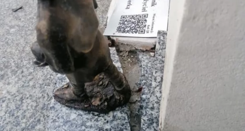 Kolejna dewastacja. Miasto Przasnysz odpowiednio zareaguje