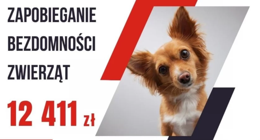 Kolejne pieniądze pozyskane dla Miasta Przasnysz
