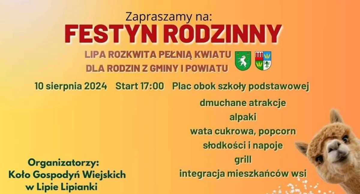 Festyn Rodzinny w Lipie