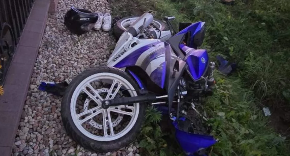 Motocykliście na drogę wybiegły psy. Policja ostrzega