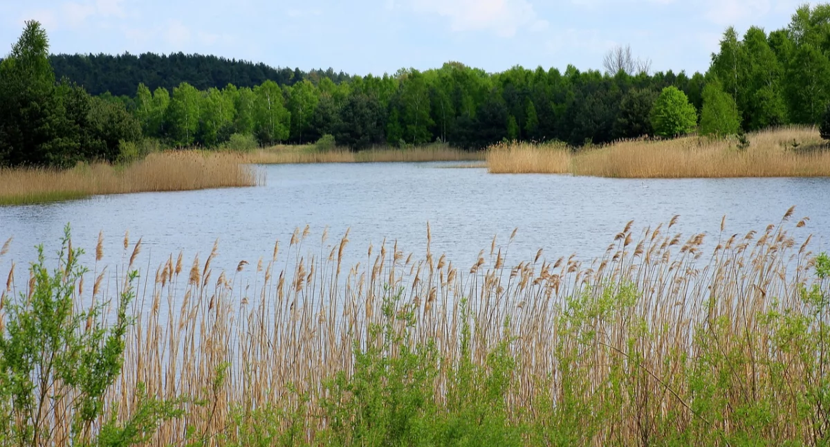 Już jutro sprzątanie zalewu Łoje 2024. Przyjdź i dołącz do akcji