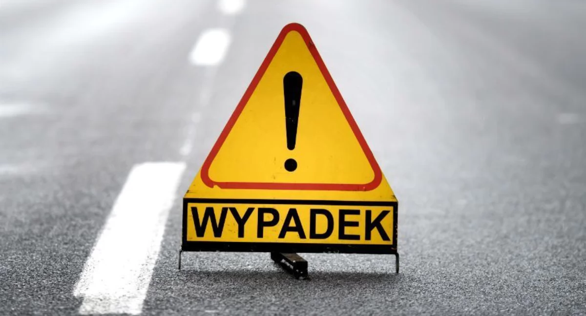 Kolizja drogowa z udziałem dzikiej zwierzyny w Chojnowie