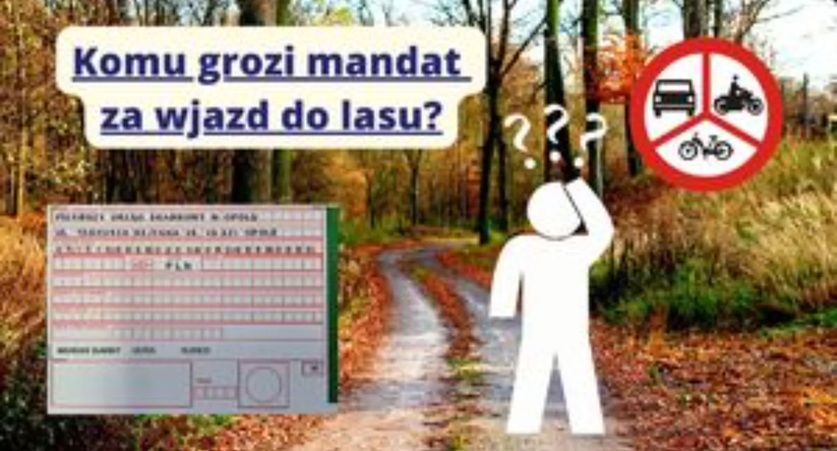 Mandat za wjazd do lasu pojazdem silnikowym? Tak!