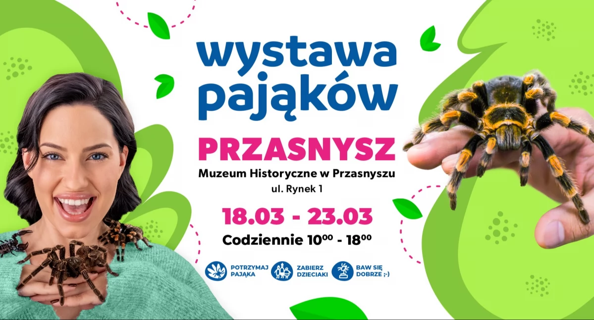 Wystawa pająków w przasnyskim Muzeum