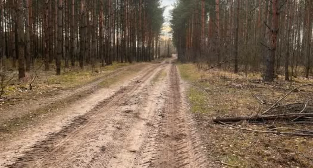 Drogę Krzyżową drogami Drążdżewa Nowego - zaproszenie