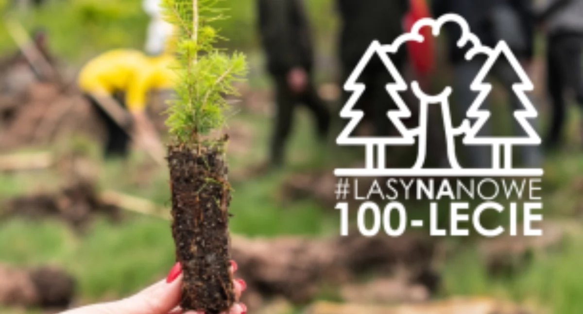 Wspólne sadzenie z leśnikami pod nazwą „Lasy na nowe 100-lecie”