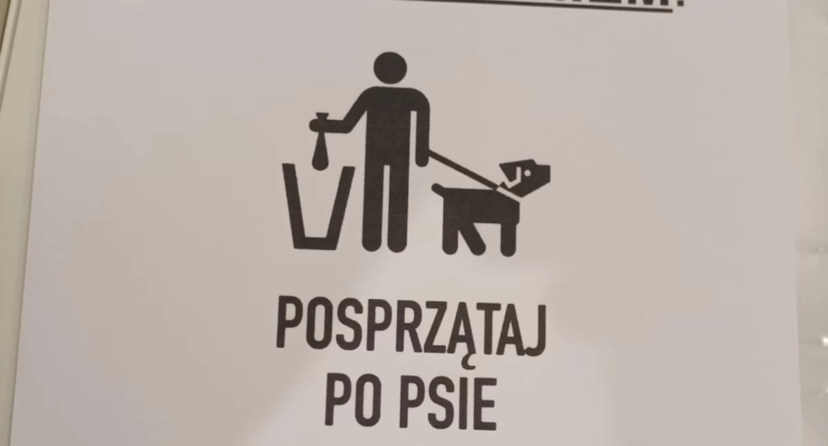 Osiedle Orlika zasypane psimi odchodami: czy właściciele psów stracili poczucie odpowiedzialności?