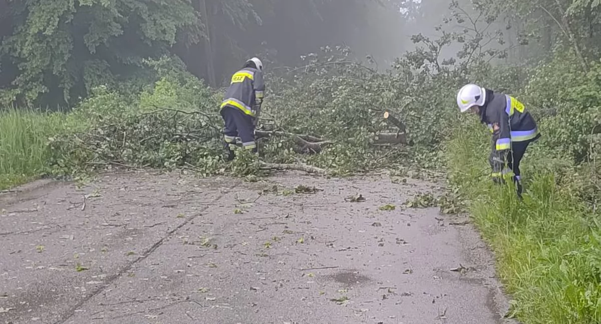 Usuwanie skutków burz w regionie – działania w Olszewcu, Węgrze, Nowych Czernicach i Czernicach Borowych
