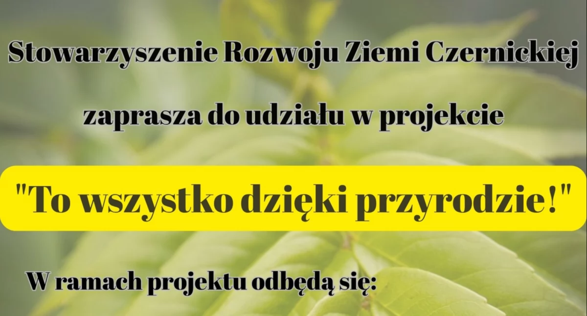 To wszystko dzięki przyrodzie! – rusza projekt ekologiczny w Czernicach Borowych