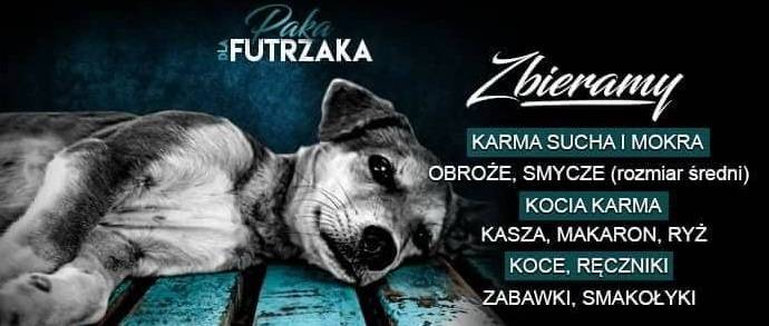 Zapraszamy do wsparcia akcji Paka dla Futrzaka