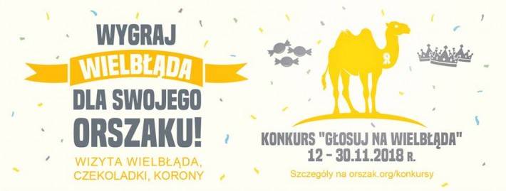 Konkurs Głosuj na wielbłąda! I wygraj korony! 2018