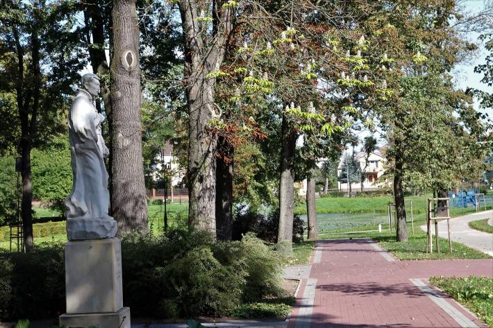 Nasz News: Nawet suchy kasztanowiec zakwitł na cześć św. Stanisława Kostki (ZDJĘCIA)