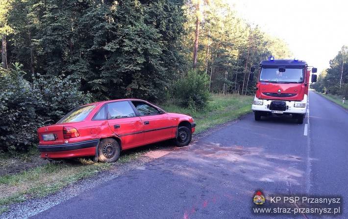 Dachowanie samochodu osobowego w miejscowości Opaleniec