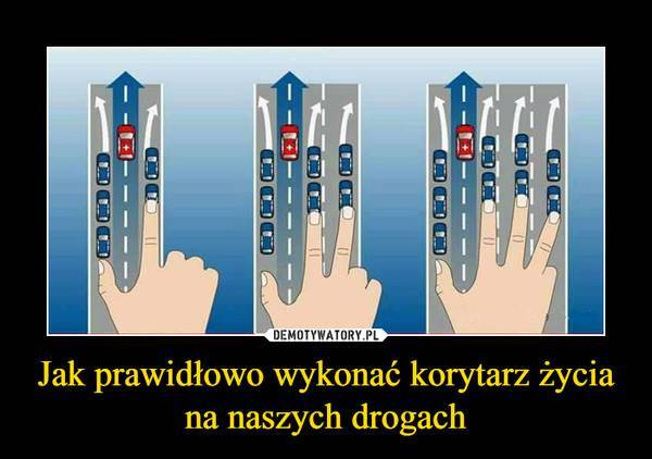 Korytarz życia – jak go stosować