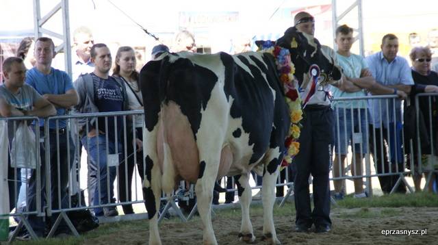 Tłumy na Open Farm w Sierakowie