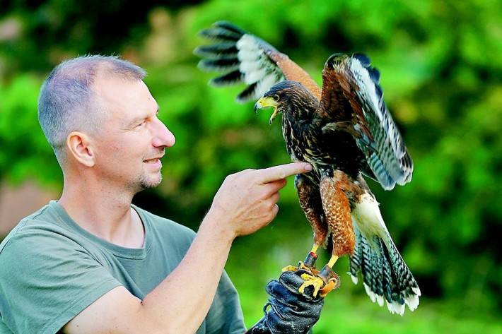 Umowa na płoszenie gawronów w Przasnyszu podpisana