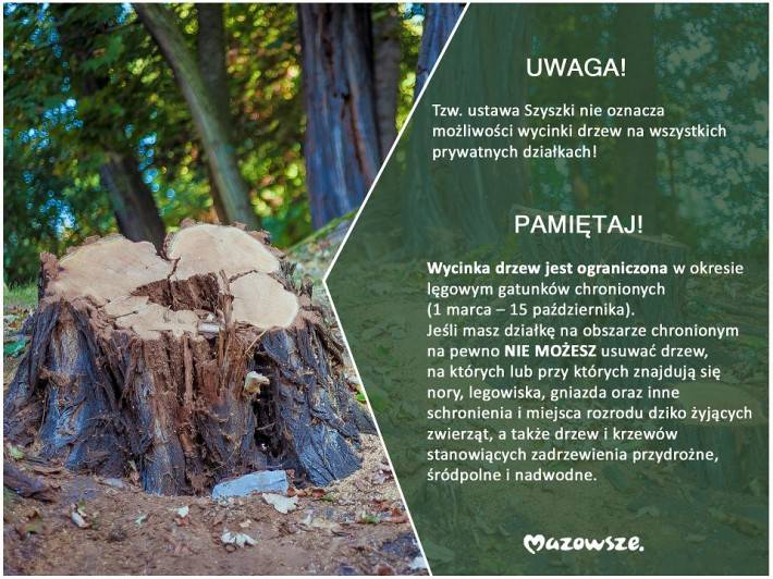 USTAWA SZYSZKI TO NIE WSZYSTKO! ZANIM WYTNIESZ – WCZYTAJ SIĘ W PRZEPISY!