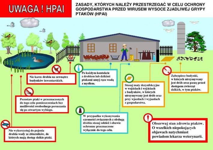 APEL do hodowców drobiu Ministra Rolnictwa i Rozwoju Wsi oraz Głównego Lekarza Weterynarii