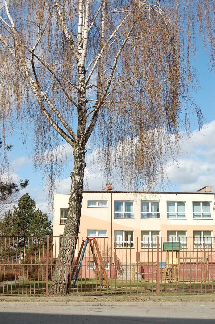 Ptactwo na Orlika problemem dla mieszkańców