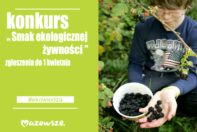 XIII edycja konkursu 
