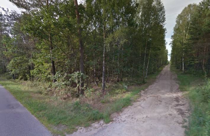 Planowali przejście z inwestycją przez lasy państwowe wbrew prawu?
