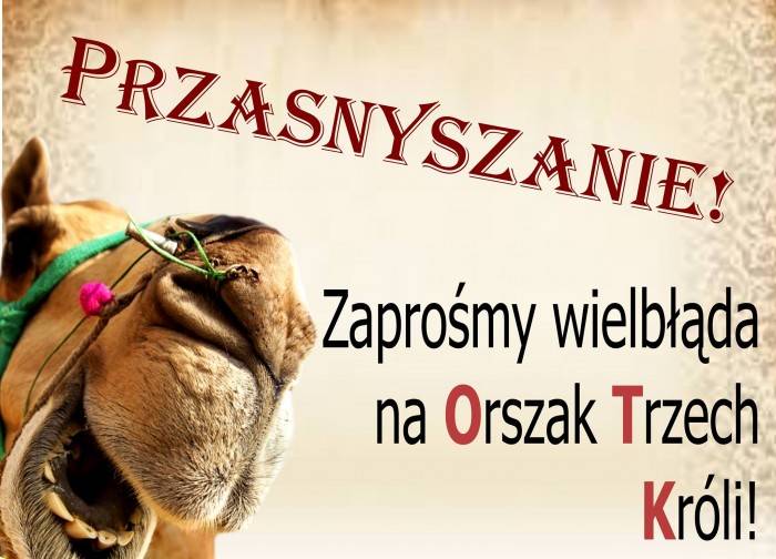 Głosowanie. Zaproś wielbłąda na Orszak Trzech Króli