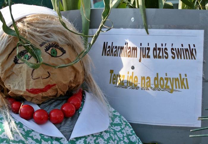 Dożynki Powiatowo-Gminne 2015 (ZDJĘCIA)