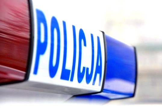 Policjanci zatrzymali złodzieja samochodów