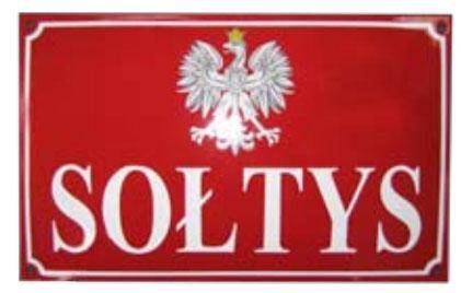 W Czernicach Borowych wybrano sołtysów
