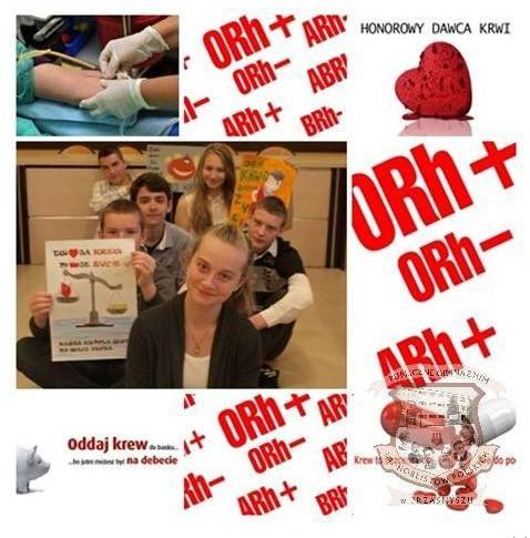 Projekt edukacyjny - Życie w kropli krwi