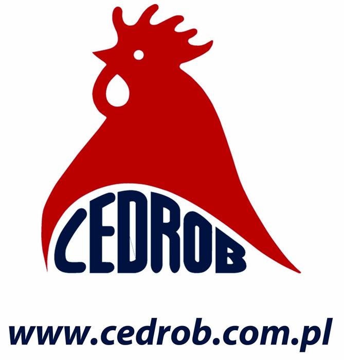 Choinki w szkole od Cedrob po raz trzeci