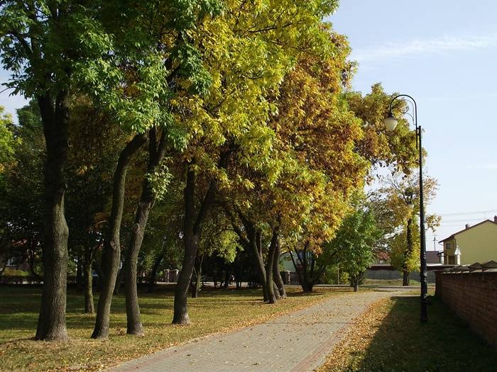 Barwy jesieni (ZDJĘCIA)