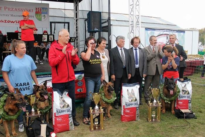 XXXIII Wystawa Klubowa Owczarków Niemieckich (ZDJĘCIA)