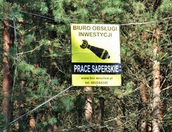 Nadleśnictwo Przasnysz: Zapraszamy na grzyby, ale...