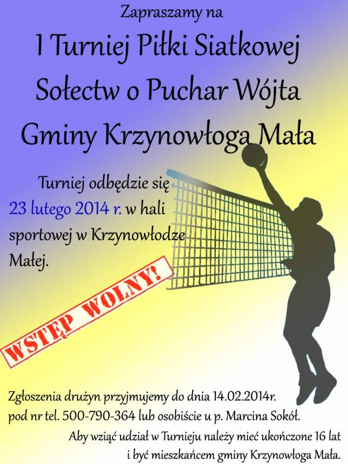 Turniej siatkarski w Krzynowłodze