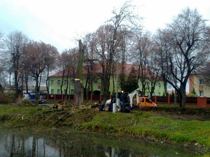 Skrzynka skarg: Wycinka drzew (ZDJĘCIA)
