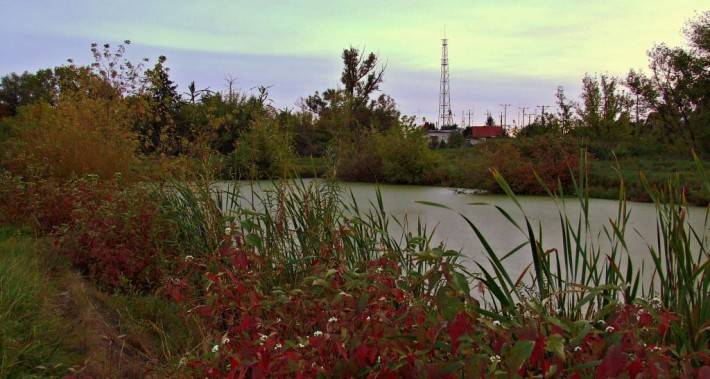 Zagadka dla Czytelników