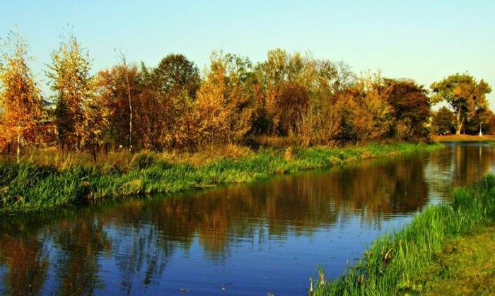 Przasnyska jesień w obiektywie naszych Czytelników