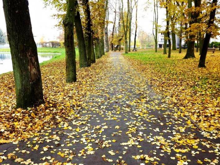 Przasnyska jesień w obiektywie naszych Czytelników