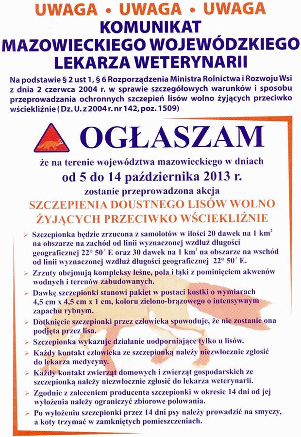 Szczepienie lisów przeciwko wściekliźnie