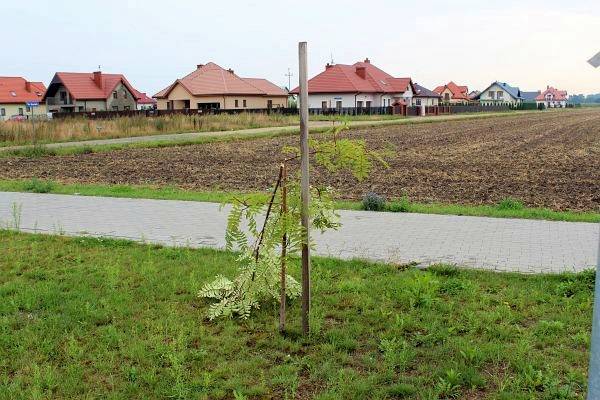 Akty wandalizmu na terenie Przasnysza - zatrzymanie sprawców