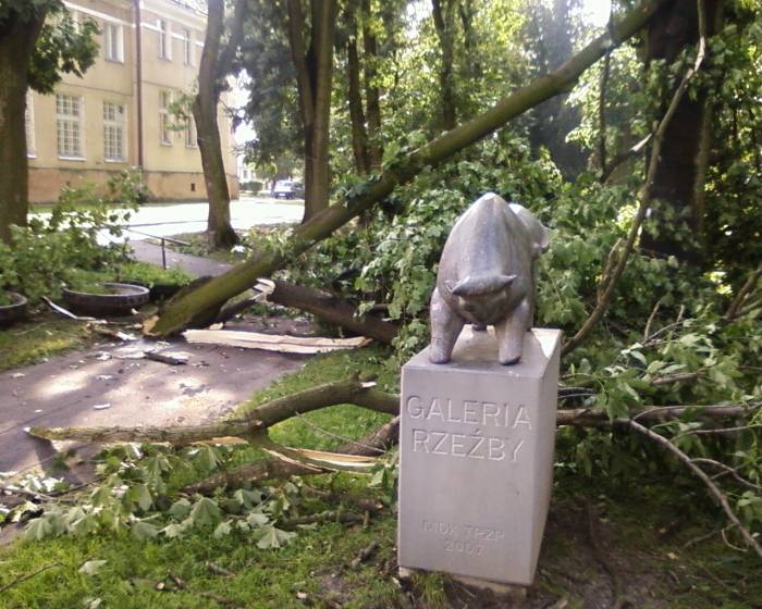 Skrzynka skarg: 