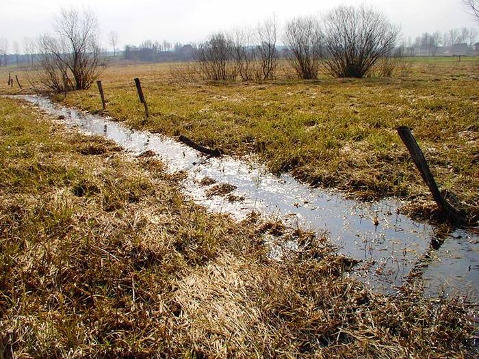 Ponad 2,8 mln zł na prace melioracyjne na Mazowszu