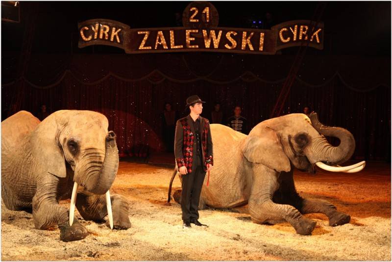 Cyrk Zalewski w Przasnyszu