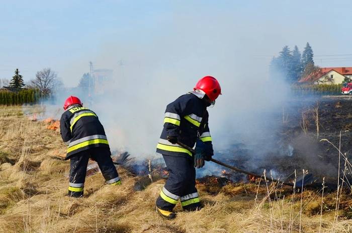 Pożar trawy w Przasnyszu (ZDJĘCIA)