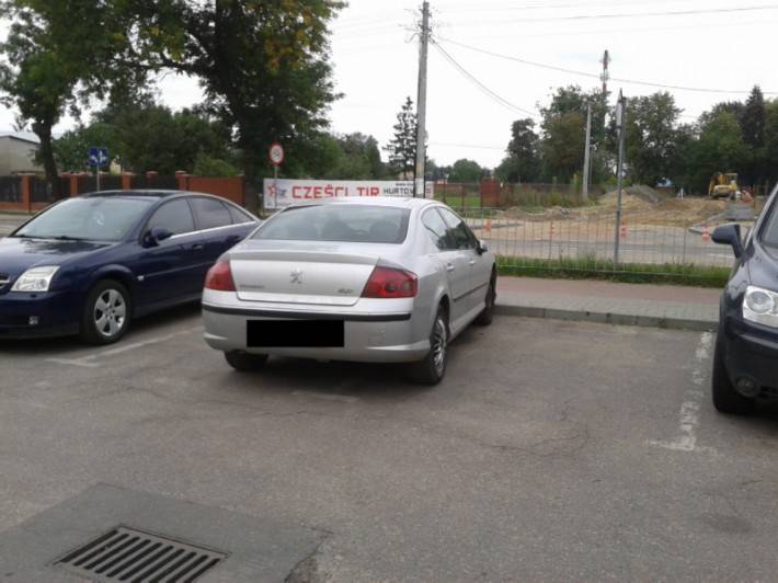 Mistrz parkowania