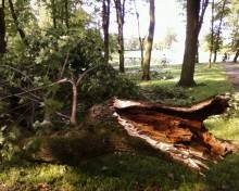 Potężny huragan nad Przasnyszem - 