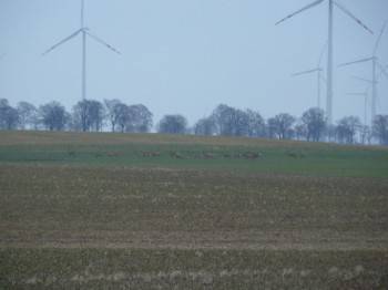 Relacja z Farm wiatrowych