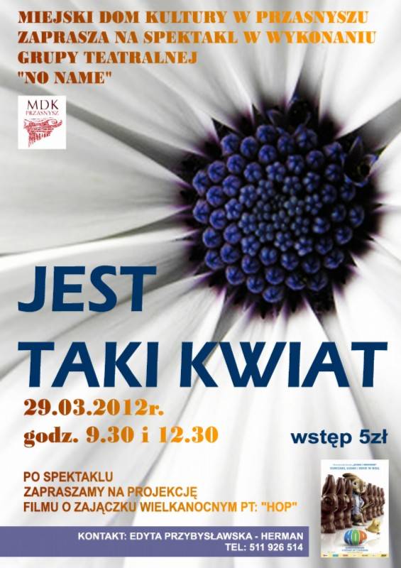 Spektakl grupy teatralnej 