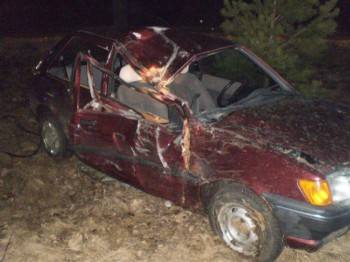 Ford Fiesta uderzył w drzewo (Zdjęcia)